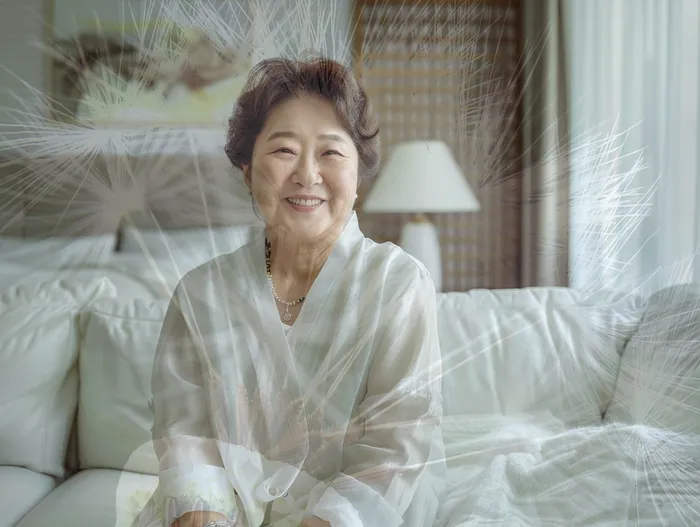 개인회생준비서류