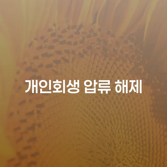 개인회생 압류 해제를 통해 채무의 늪에서 벗어날 수 있을까요?